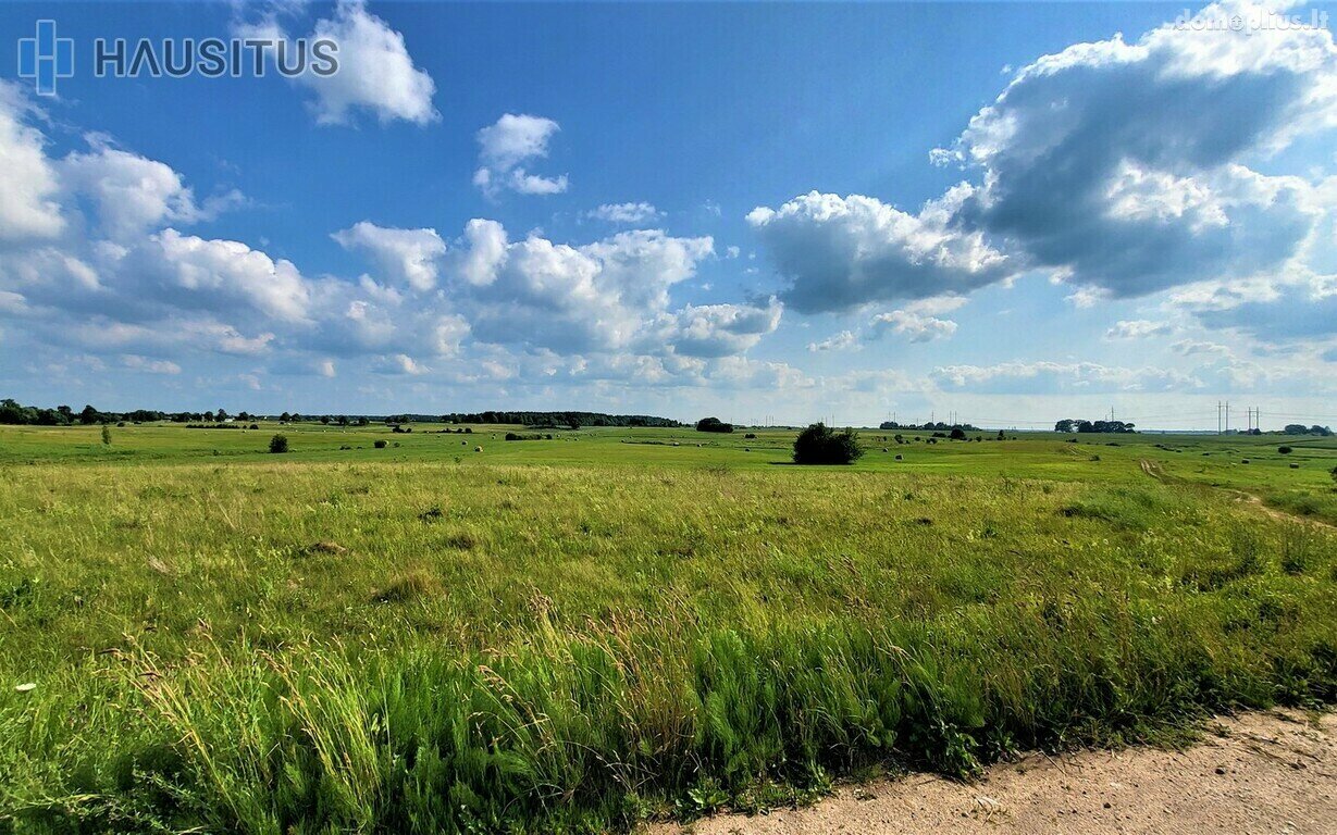 Parduodamas sklypas Panevėžio rajono sav., Molainiuose