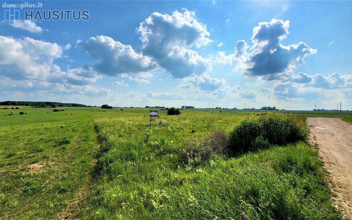 Parduodamas sklypas Panevėžio rajono sav., Molainiuose
