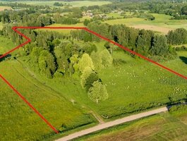 Sklypas Anykščių rajono sav., Ramonuose