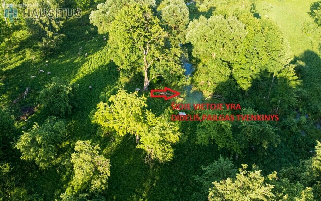 Parduodamas sklypas Anykščių rajono sav., Ramonuose