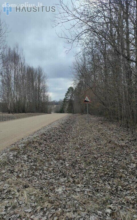 Участок Rokiškio rajono sav., Čivyliuose