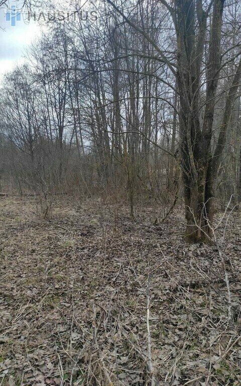 Участок Rokiškio rajono sav., Čivyliuose