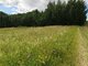 Parduodamas sklypas Anykščių rajono sav., Terpežeriuose (9 nuotrauka)