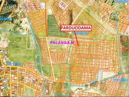 Участок Palangoje, Klevų 3-oji g.