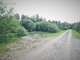 Parduodamas sklypas Anykščių rajono sav., Pajuostinyse (11 nuotrauka)