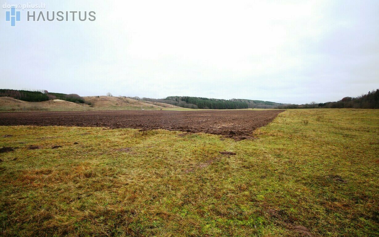 Parduodamas sklypas Raseinių rajono sav., Dvarviečiuose