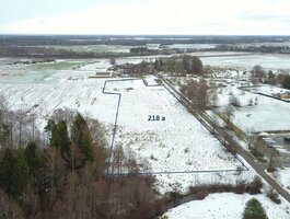 Parduodamas sklypas Klaipėdos rajono sav., Kuodžiuose