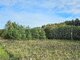 Parduodamas sklypas Trakų rajono sav., Raudoniškėse, Rykantų g. (11 nuotrauka)