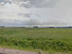 Land for sale Elektrėnų sav., Migūčionyse (4 picture)