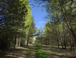 Участок Molėtų rajono sav., Pabaldiškyje