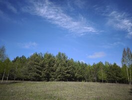 Участок Molėtų rajono sav., Pabaldiškyje