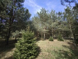 Участок Molėtų rajono sav., Pabaldiškyje