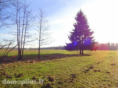Parduodamas sklypas Marijampolės sav., Veselavoje