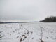 Parduodamas sklypas Marijampolės sav., Veselavoje (15 nuotrauka)