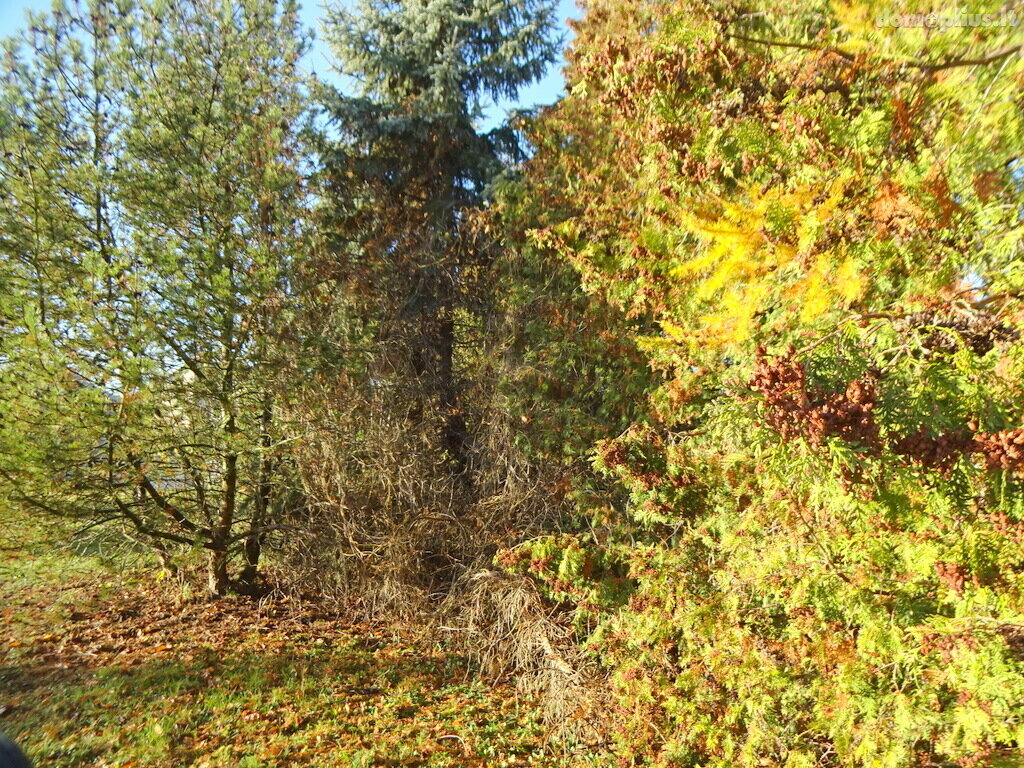 Parduodamas sklypas Marijampolės sav., Marijampolėje, Šarkaičių g.