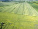 Land for sale Klaipėdos rajono sav., Girkaliuose, Gibišėlių g. (24 picture)