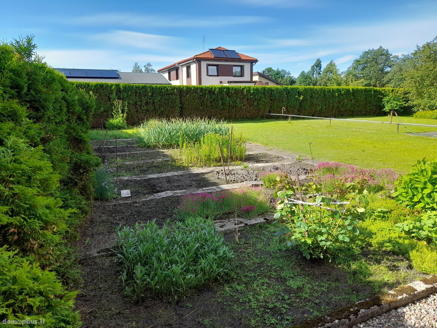 Parduodamas sklypas Klaipėdoje, Mažojo kaimelio, Dobilo 2-oji g.