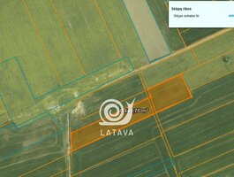 Sklypas Raseinių rajono sav., Didžiuliuose