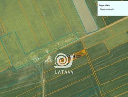 Parduodamas sklypas Raseinių rajono sav., Didžiuliuose