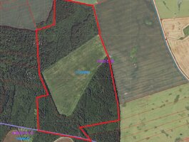 Land Kupiškio rajono sav., Paliepėje