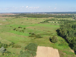 Sklypas Vilnius, Keturiasdešimt Totorių