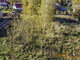 Land for sale Vilniuje, Paneriuose, Medkirčių g. (14 picture)