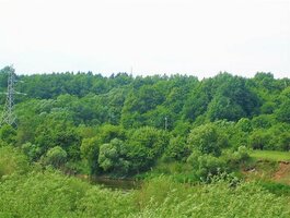 Parduodamas sklypas Jonavos rajono sav., Spanėnuose