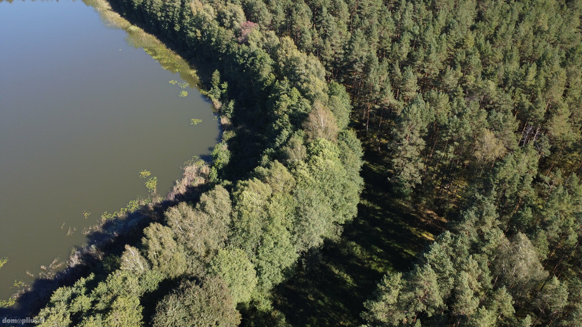 Parduodamas sklypas Lazdijų rajono sav., Ivoškuose