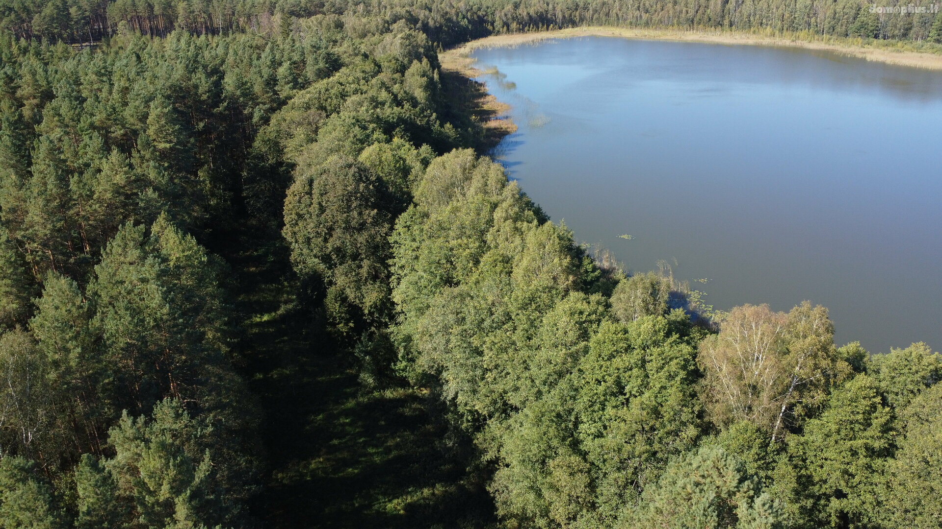 Parduodamas sklypas Lazdijų rajono sav., Ivoškuose