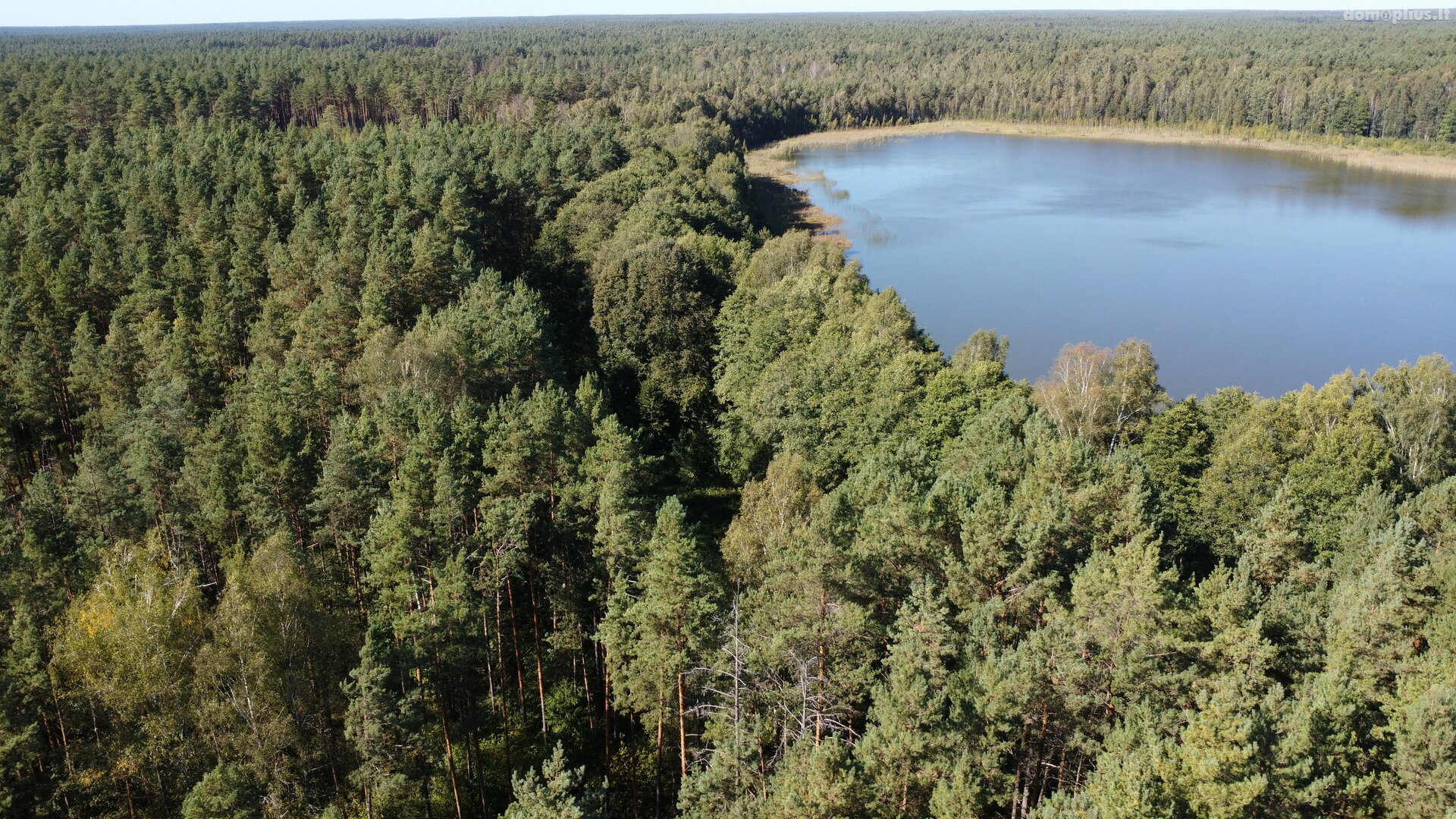 Parduodamas sklypas Lazdijų rajono sav., Ivoškuose