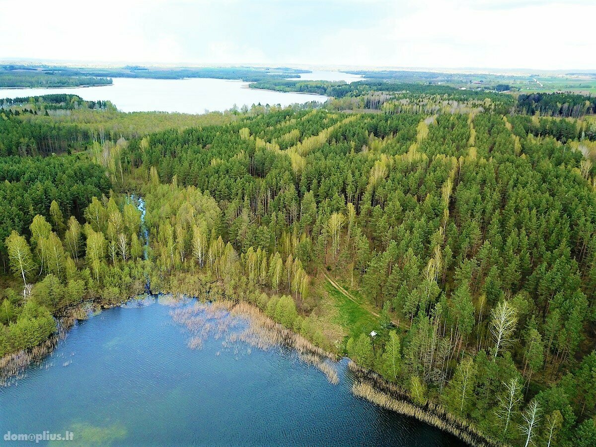 Parduodamas sklypas Lazdijų rajono sav., Pazapsiuose, Ragožės g.
