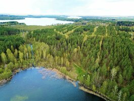 Parduodamas sklypas Lazdijų rajono sav., Pazapsiuose, Ragožės g.