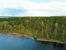Parduodamas sklypas Lazdijų rajono sav., Pazapsiuose, Ragožės g.