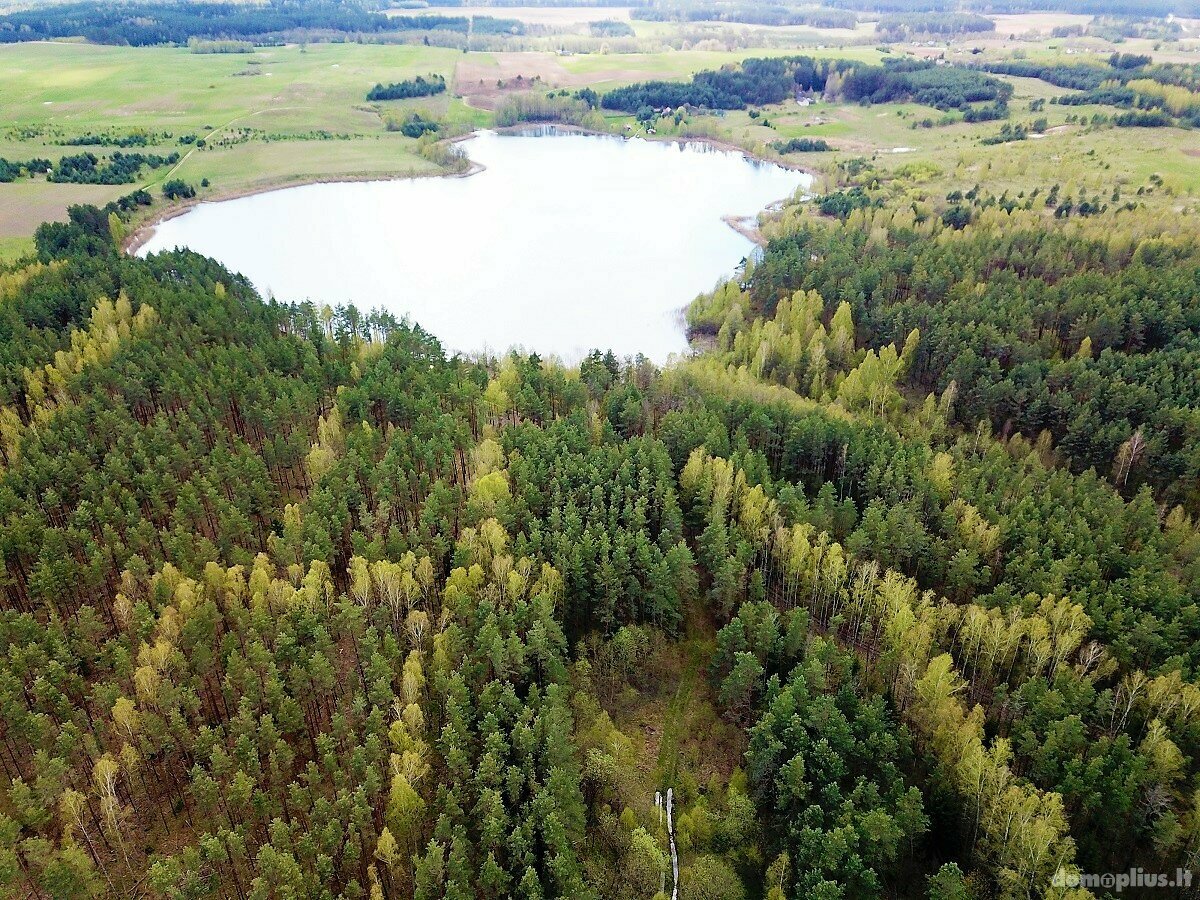 Parduodamas sklypas Lazdijų rajono sav., Pazapsiuose, Ragožės g.