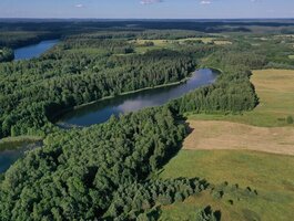 Sklypas Molėtų rajono sav., Purvėnuose