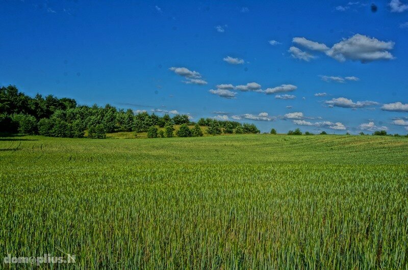 Parduodamas sklypas Molėtų rajono sav., Purvėnuose