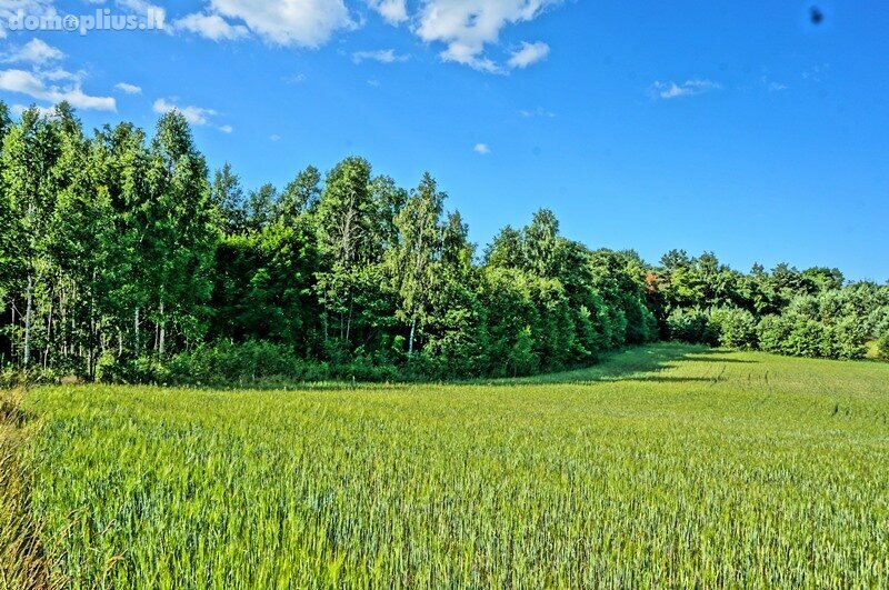 Parduodamas sklypas Molėtų rajono sav., Purvėnuose
