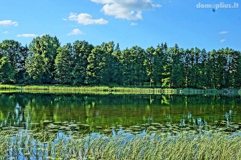 Parduodamas sklypas Molėtų rajono sav., Purvėnuose