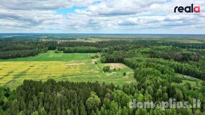 Участок Kaišiadorių rajono sav., Kaugonyse