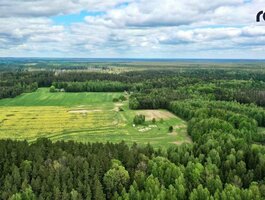 Sklypas Kaišiadorių rajono sav., Kaugonyse