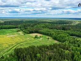 Участок Kaišiadorių rajono sav., Kaugonyse