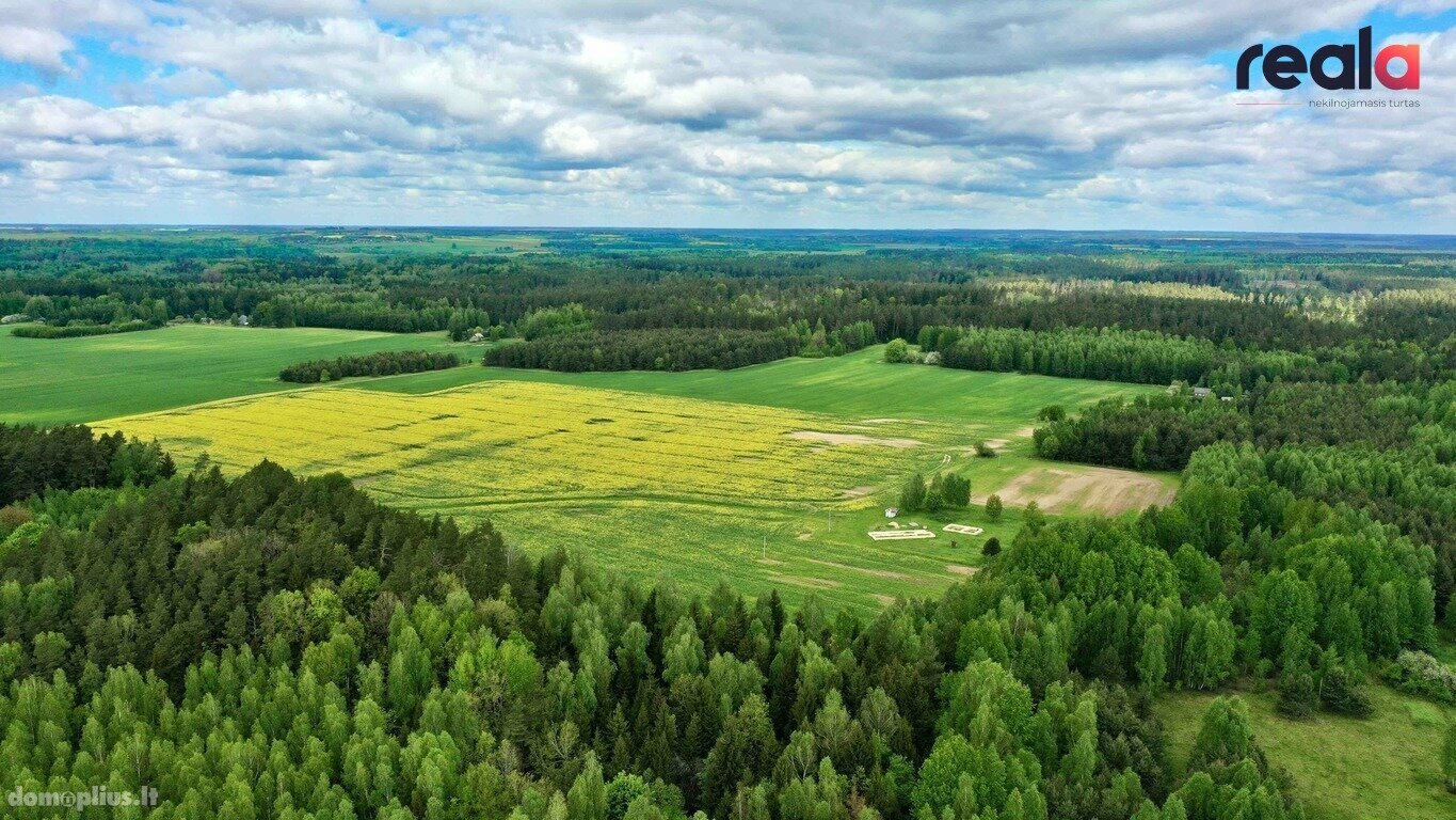 Участок Kaišiadorių rajono sav., Kaugonyse