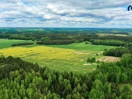 Участок Kaišiadorių rajono sav., Kaugonyse