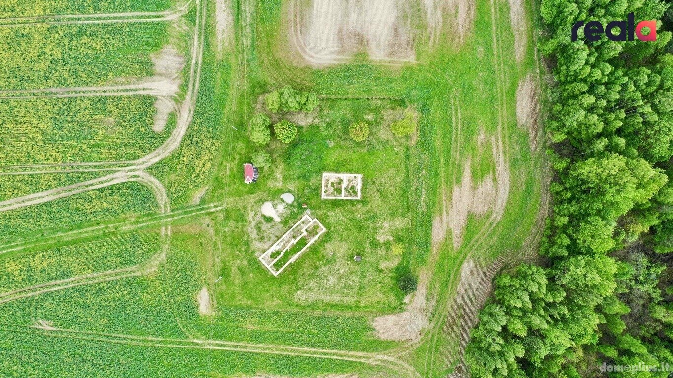 Участок Kaišiadorių rajono sav., Kaugonyse