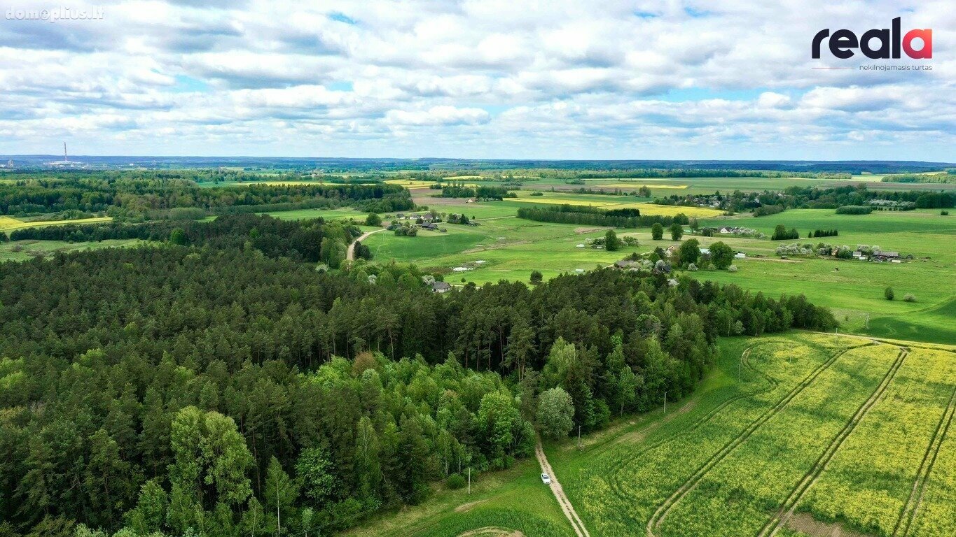 Участок Kaišiadorių rajono sav., Kaugonyse