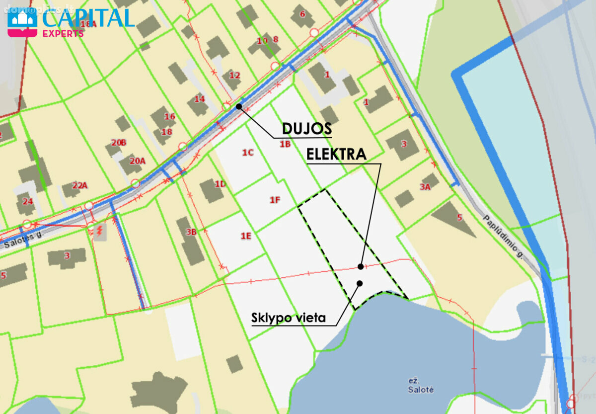 Land for sale Vilniaus rajono sav., Salotėje