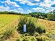 Land for sale Zarasų rajono sav., Knipiškėse (24 picture)