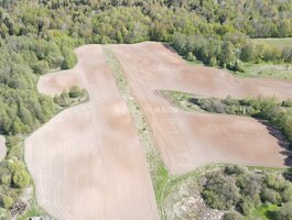 Land Lazdijų rajono sav., Prapuntuose
