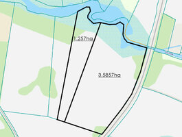 Sklypas Molėtų rajono sav., Drąsėnuose