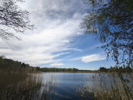 Sklypas Molėtų rajono sav., Kazimieravoje